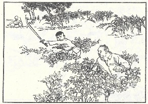 小兵张嘎插图 107