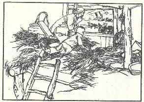 小兵张嘎插图 123
